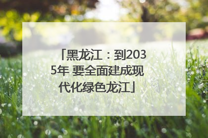 黑龙江：到2035年 要全面建成现代化绿色龙江