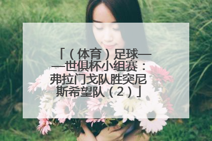（体育）足球——世俱杯小组赛：弗拉门戈队胜突尼斯希望队（2）