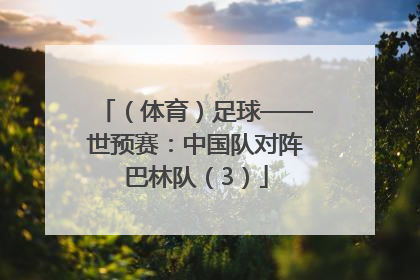 （体育）足球——世预赛：中国队对阵巴林队（3）