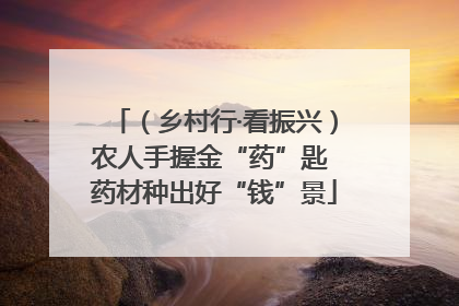 （乡村行·看振兴）农人手握金“药”匙 药材种出好“钱”景