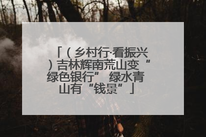 （乡村行·看振兴）吉林辉南荒山变“绿色银行” 绿水青山有“钱景”