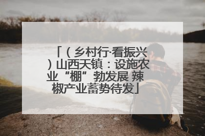 （乡村行·看振兴）山西天镇：设施农业“棚”勃发展 辣椒产业蓄势待发