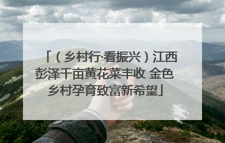 （乡村行·看振兴）江西彭泽千亩黄花菜丰收 金色乡村孕育致富新希望