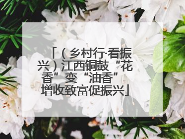 （乡村行·看振兴）江西铜鼓“花香”变“油香” 增收致富促振兴