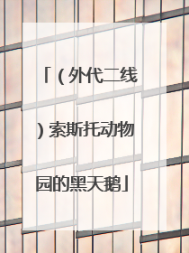（外代二线）索斯托动物园的黑天鹅