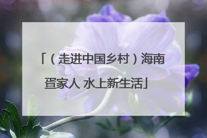 （走进中国乡村）海南疍家人 水上新生活