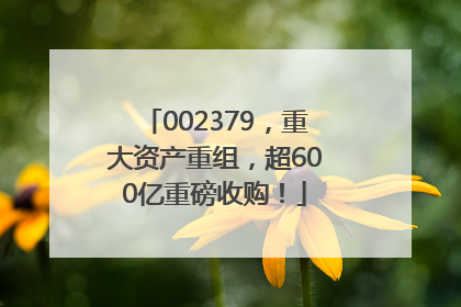 002379，重大资产重组，超600亿重磅收购！