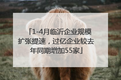 1-4月临沂企业规模扩张提速，过亿企业较去年同期增加55家