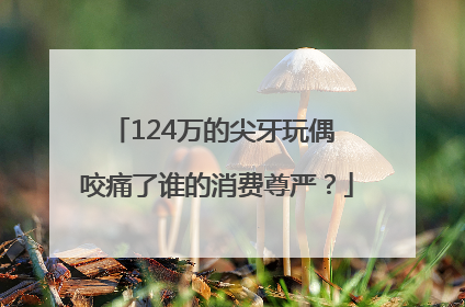 124万的尖牙玩偶 咬痛了谁的消费尊严？