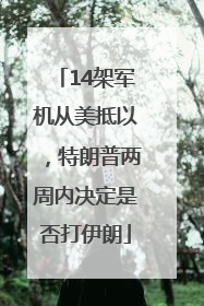 14架军机从美抵以，特朗普两周内决定是否打伊朗