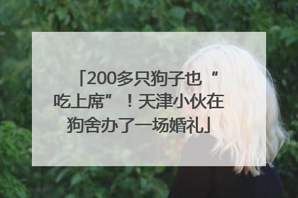 200多只狗子也“吃上席”！天津小伙在狗舍办了一场婚礼