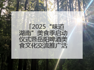 2025“味道湖南”美食季启动仪式暨岳阳啤酒美食文化交流推广活动举办