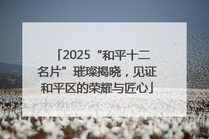 2025“和平十二名片”璀璨揭晓，见证和平区的荣耀与匠心