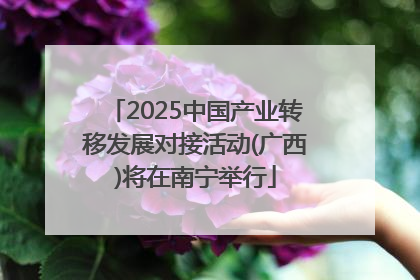 2025中国产业转移发展对接活动(广西)将在南宁举行