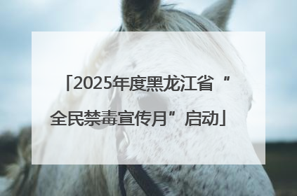 2025年度黑龙江省“全民禁毒宣传月”启动