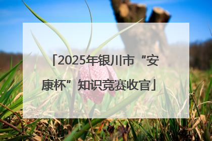 2025年银川市“安康杯”知识竞赛收官