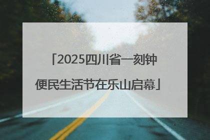 2025四川省一刻钟便民生活节在乐山启幕