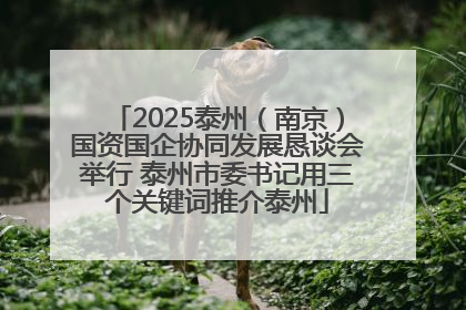 2025泰州（南京）国资国企协同发展恳谈会举行 泰州市委书记用三个关键词推介泰州