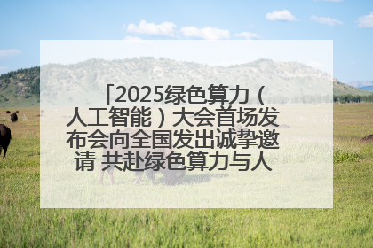 2025绿色算力（人工智能）大会首场发布会向全国发出诚挚邀请 共赴绿色算力与人工智能融合之约