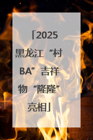2025黑龙江“村BA”吉祥物“隆隆”亮相