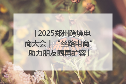 2025郑州跨境电商大会｜“丝路电商”助力朋友圈再扩容