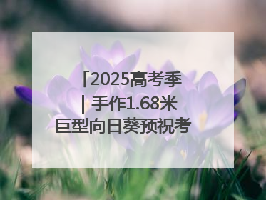 2025高考季｜手作1.68米巨型向日葵预祝考生“一举夺魁”