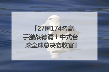 27国174名高手激战德清！中式台球全球总决赛收官