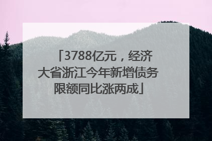 3788亿元，经济大省浙江今年新增债务限额同比涨两成