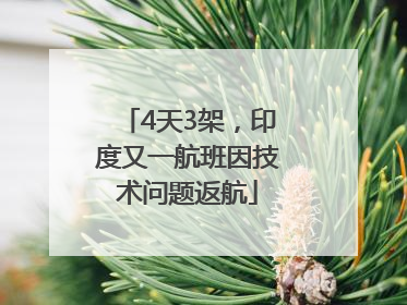 4天3架，印度又一航班因技术问题返航