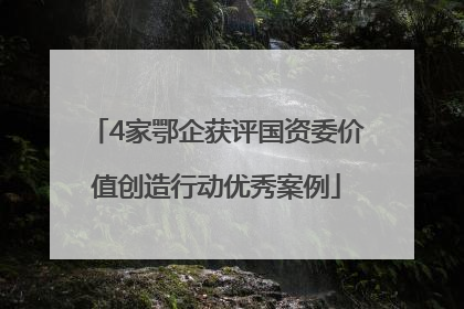 4家鄂企获评国资委价值创造行动优秀案例