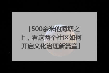 500余米的海塘之上，看这两个社区如何开启文化治理新篇章