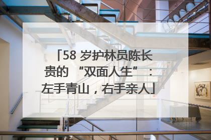 58 岁护林员陈长贵的 “双面人生”：左手青山，右手亲人