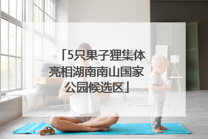 5只果子狸集体亮相湖南南山国家公园候选区