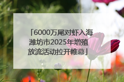 6000万尾对虾入海 潍坊市2025年增殖放流活动拉开帷幕