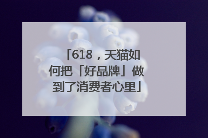 618，天猫如何把「好品牌」做到了消费者心里