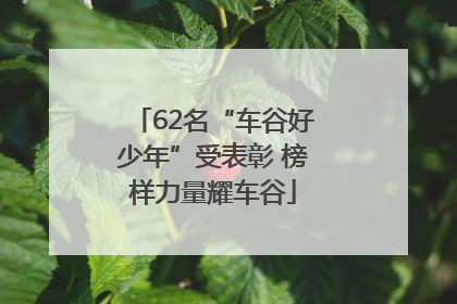 62名“车谷好少年”受表彰 榜样力量耀车谷