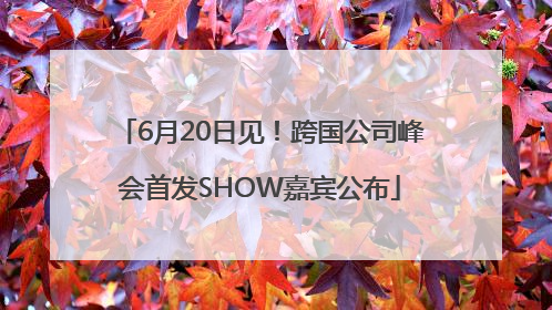 6月20日见！跨国公司峰会首发SHOW嘉宾公布