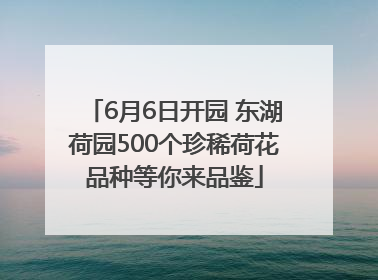 6月6日开园 东湖荷园500个珍稀荷花品种等你来品鉴