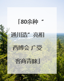 80余种“通川造”亮相西博会 广受客商青睐