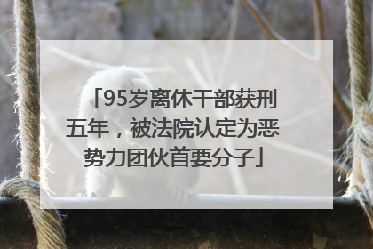 95岁离休干部获刑五年，被法院认定为恶势力团伙首要分子