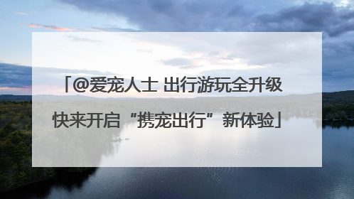 @爱宠人士 出行游玩全升级 快来开启“携宠出行”新体验