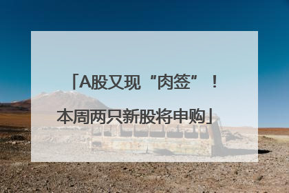 A股又现“肉签”！本周两只新股将申购