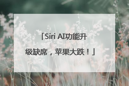 Siri AI功能升级缺席，苹果大跌！